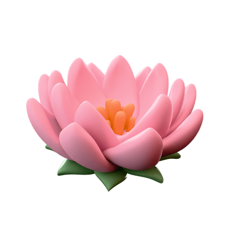 Traditional Lotus