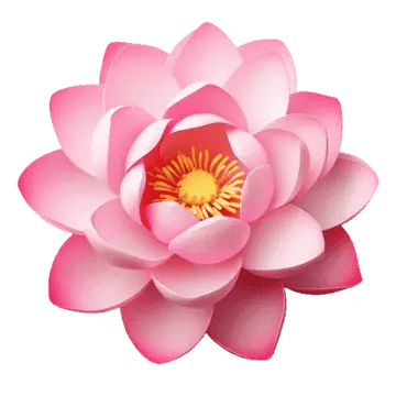 Traditional Lotus